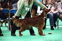 Crufts2011 364